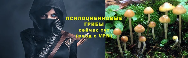 СК Алзамай