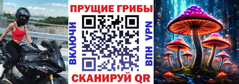 Псилоцибиновые грибы Magic Shrooms  Бодайбо 